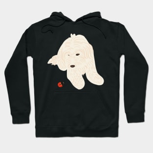 Maltipoo and Ladybug Hoodie